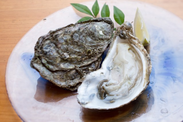 watarigaki oysters