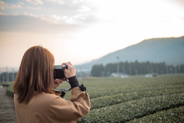 夕日と茶畑の写真を撮る筆者