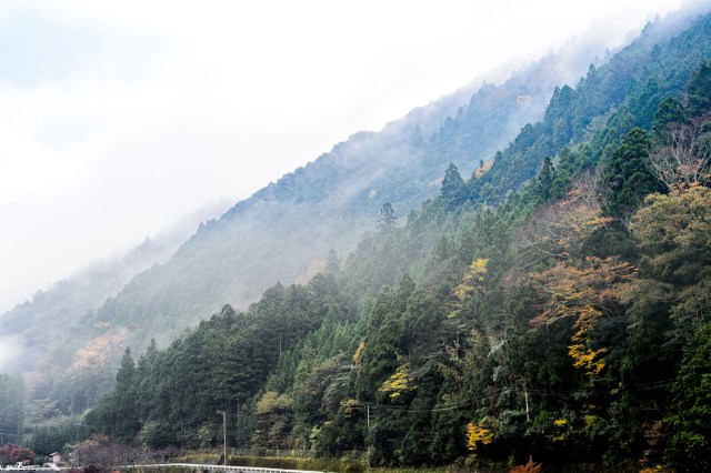 大台的山的形象（image）照片