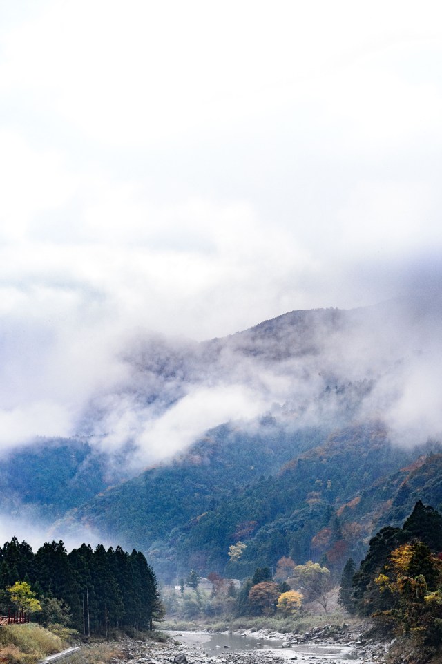 宫川的形象（image）照片