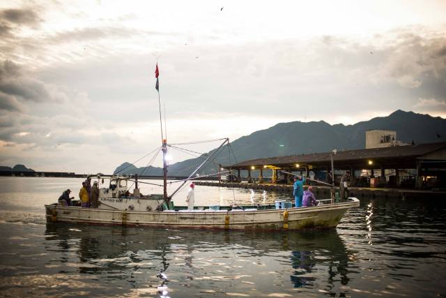 Morning scene at Owase Port