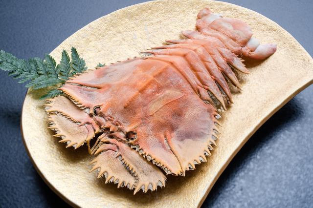 Boiled uchiwa ebi (slipper prawn)