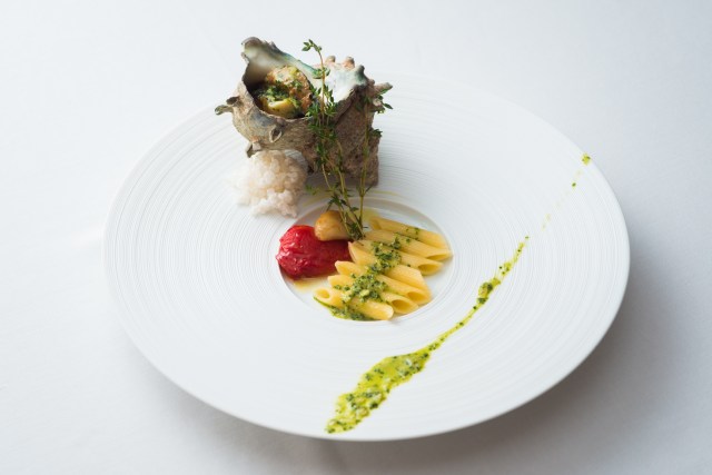 fricassee of turban shell with parsley and confit of tomato accompanied by penne