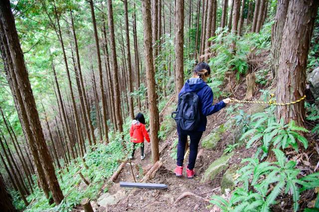 陡峭的山林道