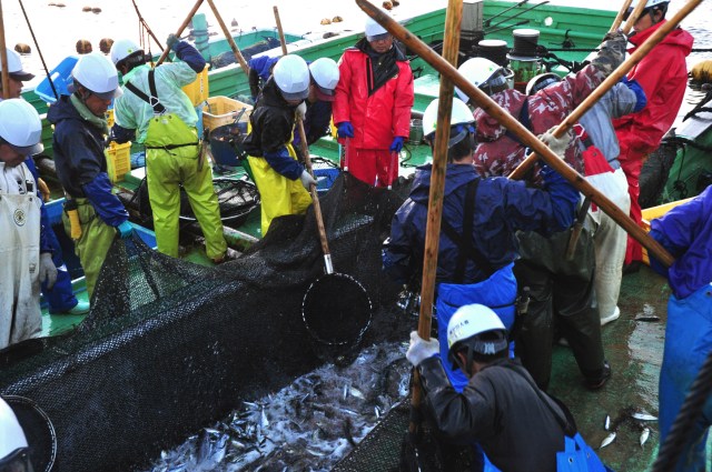 Large trawler (Owase)