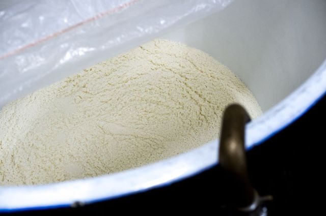 fermentation mash