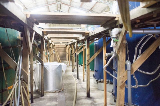 Warehouse filled with the fragrance of Ginjo