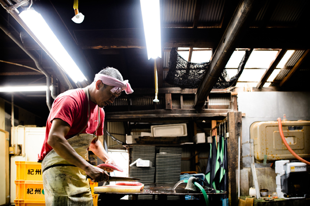 Fishing villages in Mie and Shikoku have similar accents.  
A bonito pilgrimage, a culinary journey.