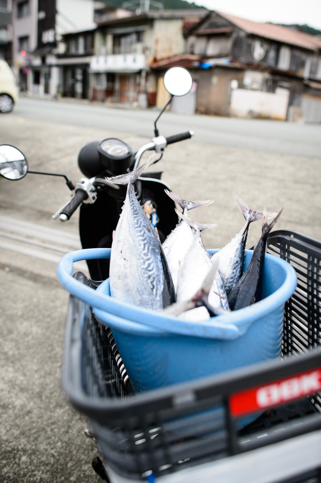 Bucket of bonito