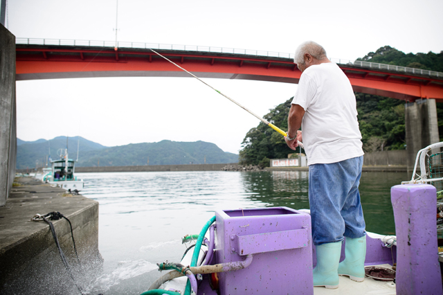 Bonito fishing lesson 2