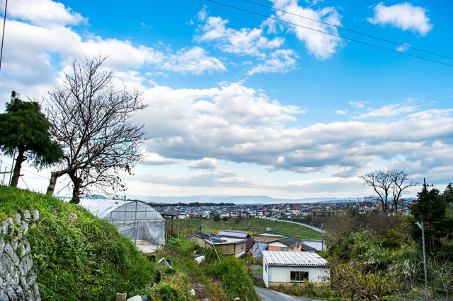 Looking down on the town