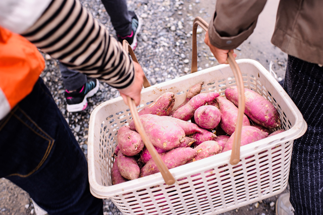 A basket full of sweet potatoes