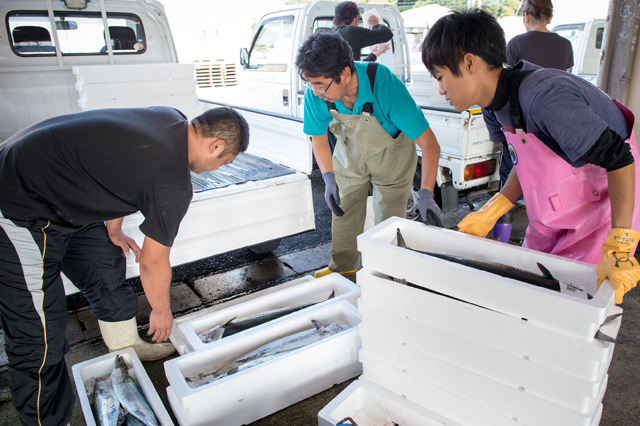 A broker and men from the fishermen’s association load sawara into a light truck